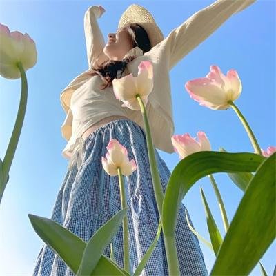 龙三和他的七人党